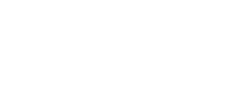 Annecy Festival